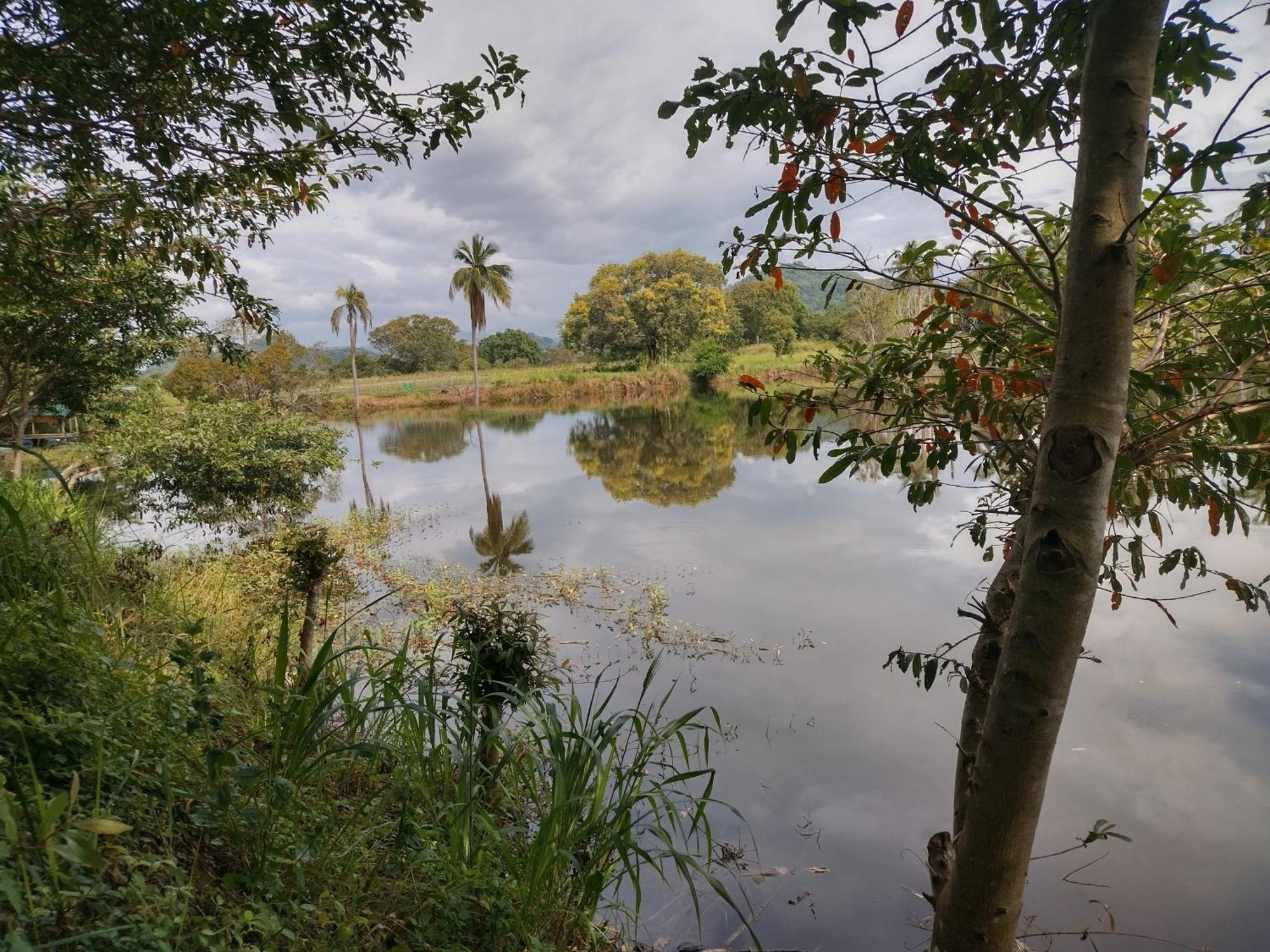 Willa Nature Kingdom Botanical Garden Hambegamuwa Zewnętrze zdjęcie